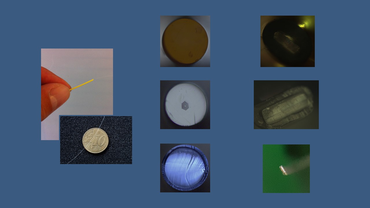 Presentation Fibers